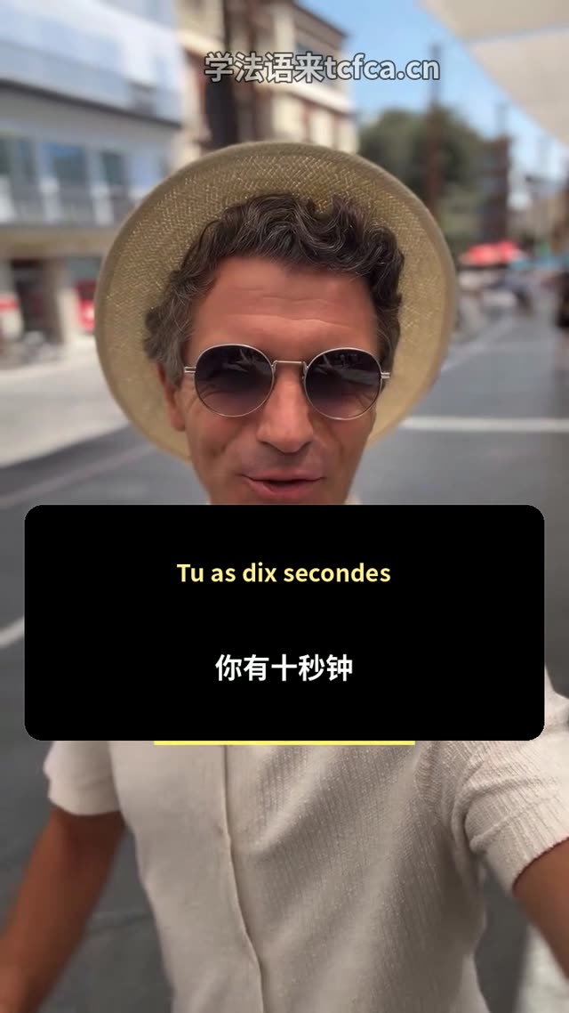 10秒法语挑战féerique和fictif的同义词你会吗 视频封面