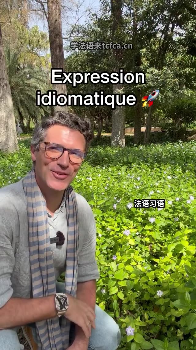 法国人说fleur bleue竟然是这个意思 视频封面
