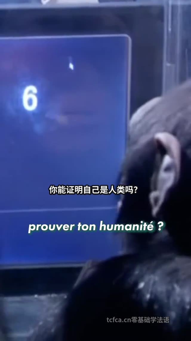 你能证明自己是人类吗?《人猿星球》的残酷悖论 视频封面