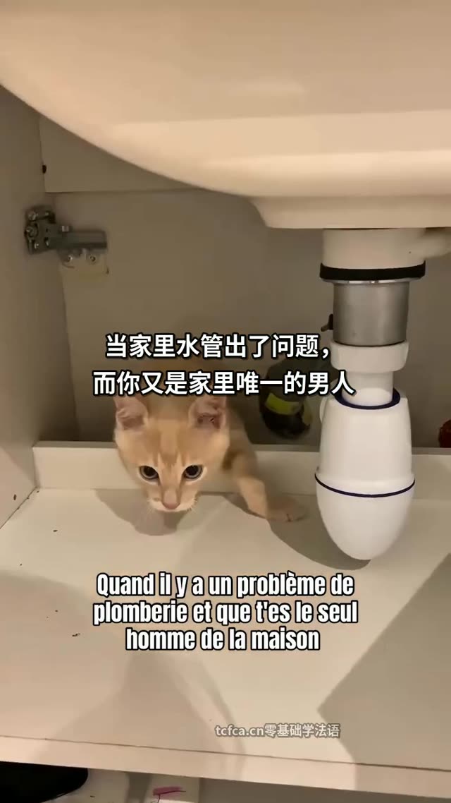 家里唯一的男人开始修水管了 视频封面