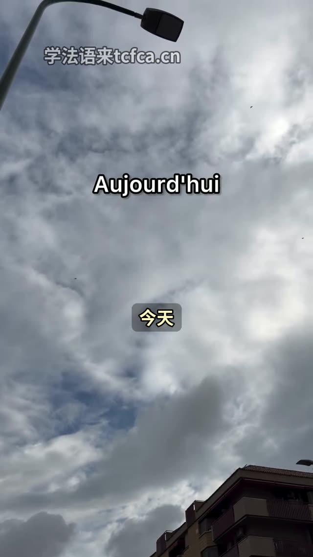 这种天气法语到底选哪个 视频封面
