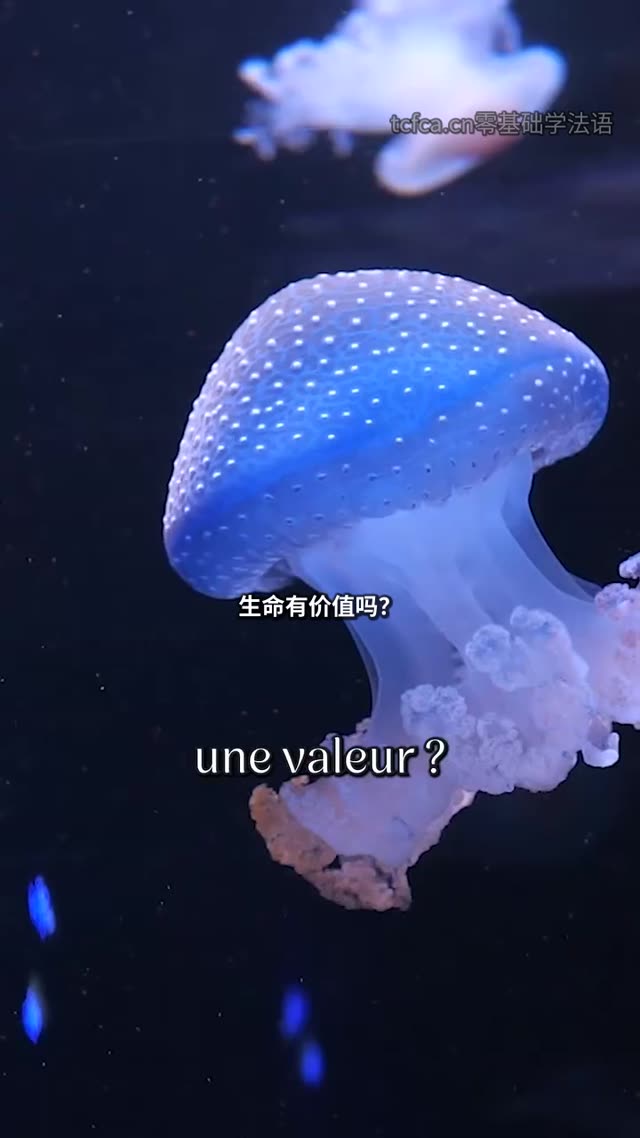 生命有价值吗?一场生命游戏的哲学实验 视频封面