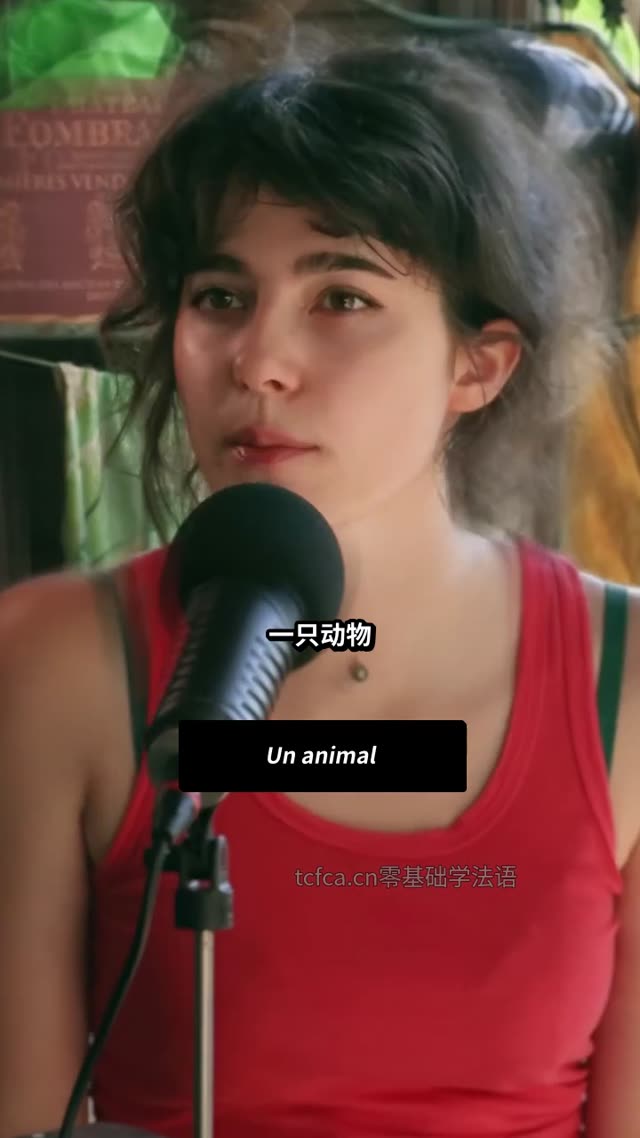 动物为何不能成为表演 视频封面
